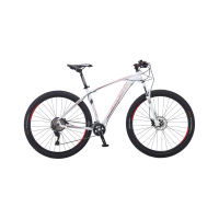 IMPETUS 29 SLX dağ bisikleti